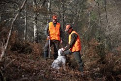 Охота и кинология: поддерживающий корм для собак Atletic Dog Охота и кинология: поддерживающий корм для собак Atletic Dog