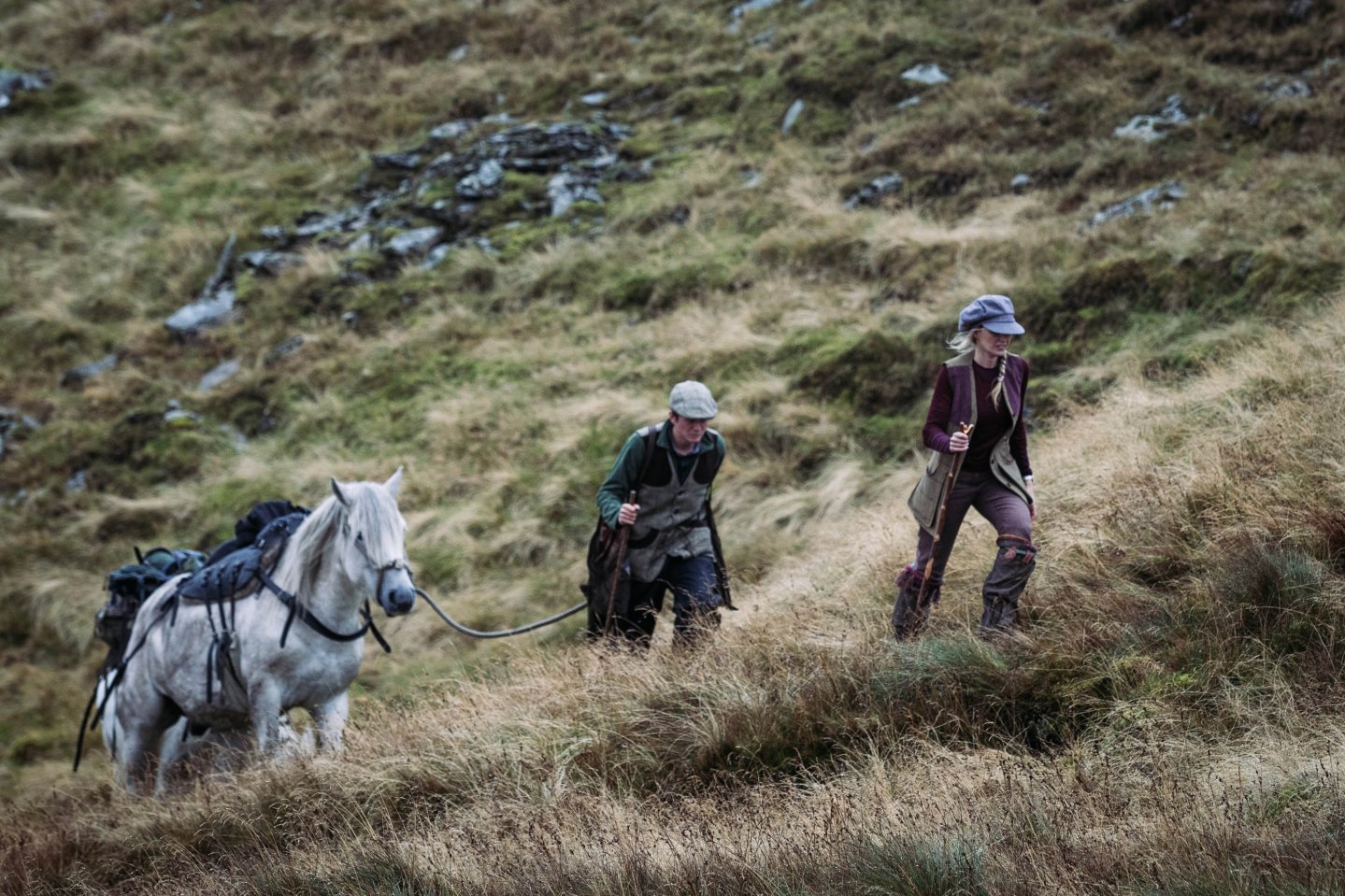 Охотники в Шотландии верхом на горных пони