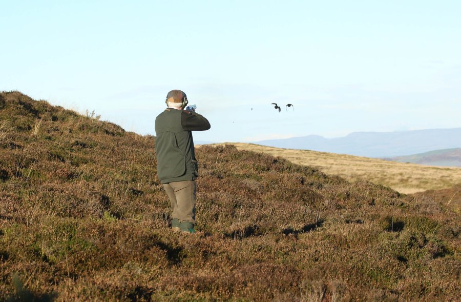 Стрельба по куропаткам