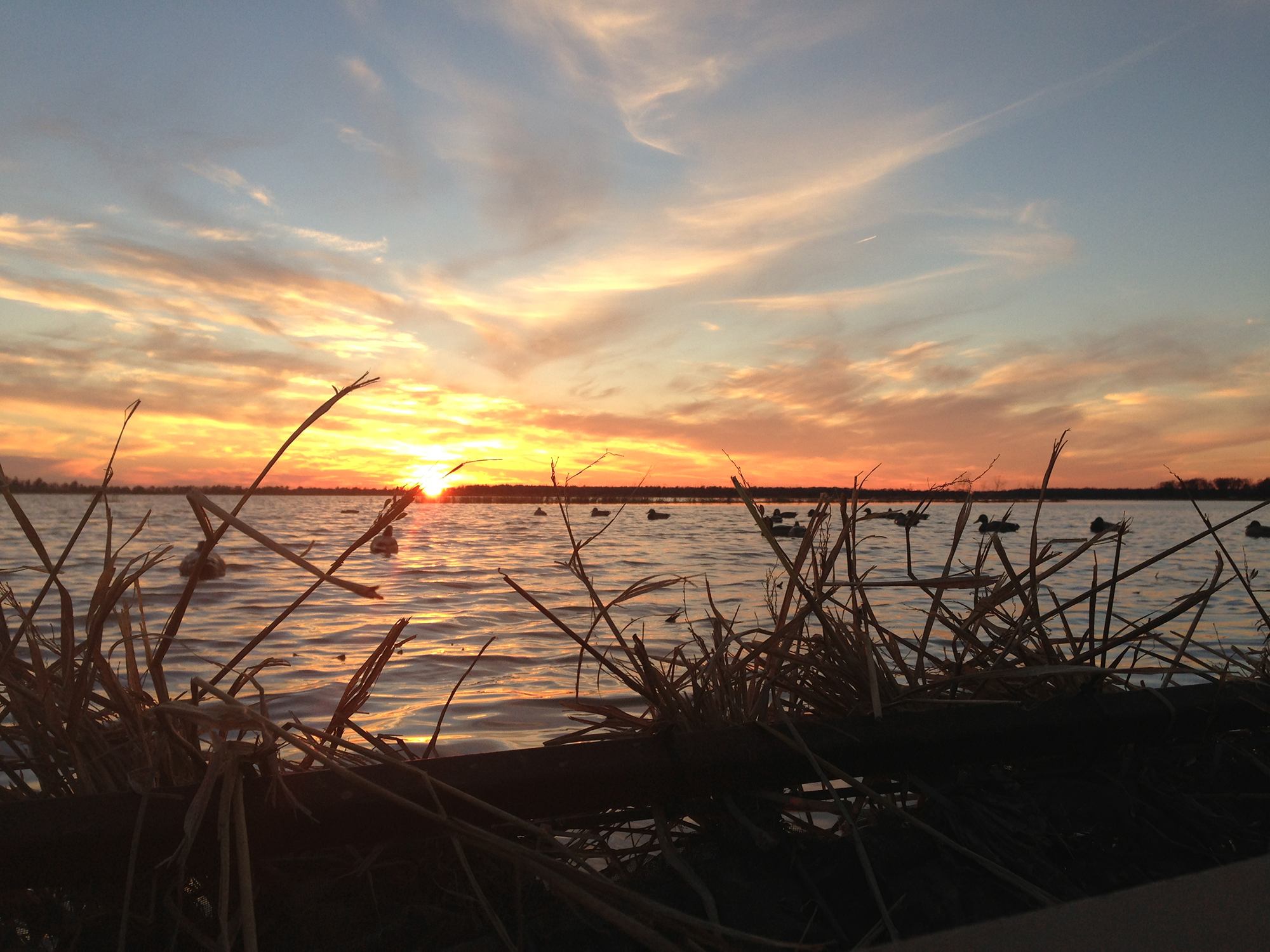 lugari: Видео: охота на водоплавающих птиц в долине