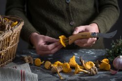 Opinel №8 Mushroom: нож для грибной поры Нож Opinel №8 Mushroom - кисточка на рукояти