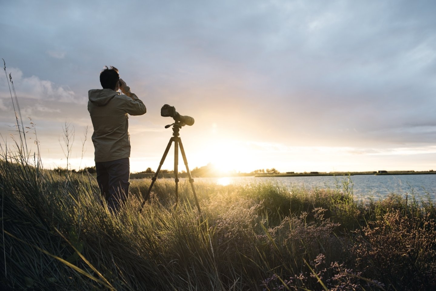 Фотоконкурс Swarovski: Digiscoper of the Year 2016 Зрительные трубы от Swarovksi