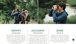 Swarovski Optik: новая виртуальная реальность от специалиста в области оптических устройств для охотников, наблюдателей за природой и определителей птиц Swarovski Optik: новая виртуальная реальность