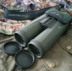 Бинокль Swarovski SLC 8×56B и BG Bino Guard: обзор пользователя Бинокль Swarovski SLC 8×56 B с шейным ремешком