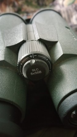 Бинокль Swarovski SLC 8×56B и BG Bino Guard: обзор пользователя Центральное фокусирующее колесико Swarovski SLC 8×56 B