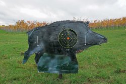 Тест: оптический прицел Swarovski X5(i) 5-25x56 P для стрельбы на дальние дистанции Мишень молодой дикий кабан