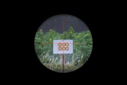 Тест: оптический прицел Swarovski X5(i) 5-25x56 P для стрельбы на дальние дистанции Мишень на 100 м