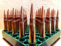 Sabatti STR – от стрельбища до охотничьих просторов Патроны с пулей Berger 185 гран