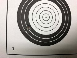 Sabatti STR – от стрельбища до охотничьих просторов Sabatti STR кучность на 100 м