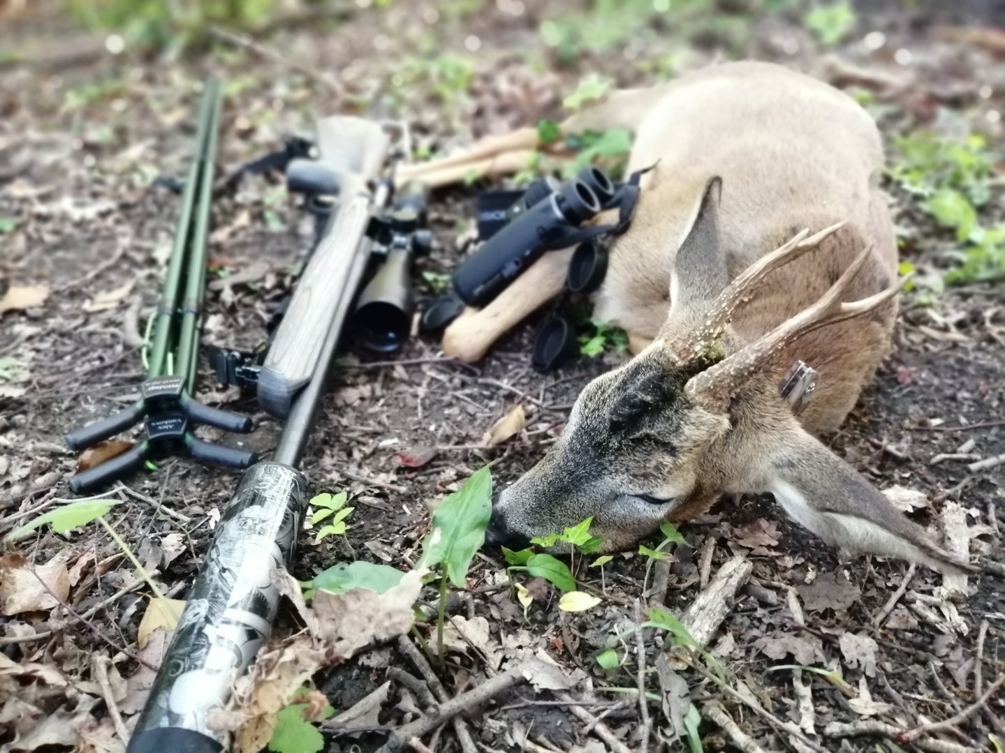 Browning X-bolt Eclipse Varmint SF: правильный инструмент Карабин Browning X-bolt Eclipse Varmint SF