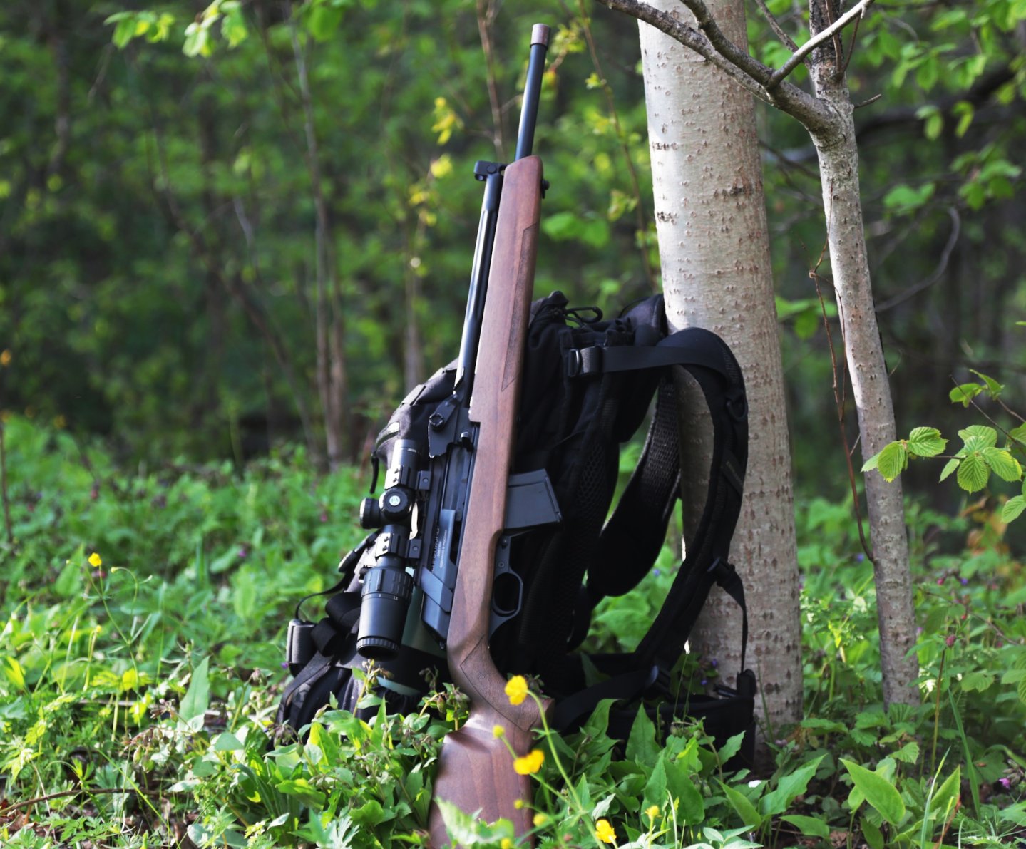 ООО «Молот-Оружие»:  новый гладкоствольный карабин ВПО-212  «Вепрь-Пионер» калибра .366 TKM Новый гладкоствольный карабин ВПО-212 «Вепрь-Пионер»