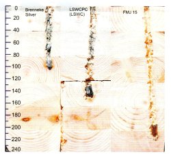 Новые спортивные патроны ЗАО "Техкрим"
