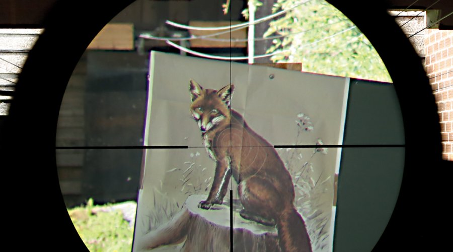 Тест: оптический прицел Swarovski Z6i 2,5-15x56