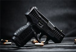 Наша версия «Топ десять пистолетов и револьверов» с SHOT Show 2022 Savage Stance калибра 9х19.