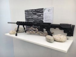 Новинка от Waffen Schumacher: Schmeisser AR15 DMR 24" STS Полностью регулируемым прикладом израильской фирмы CAA